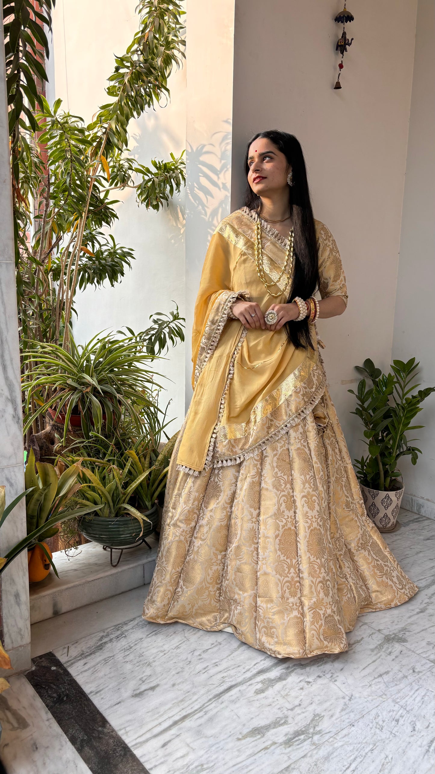 Shreeji Banarasi Lehenga