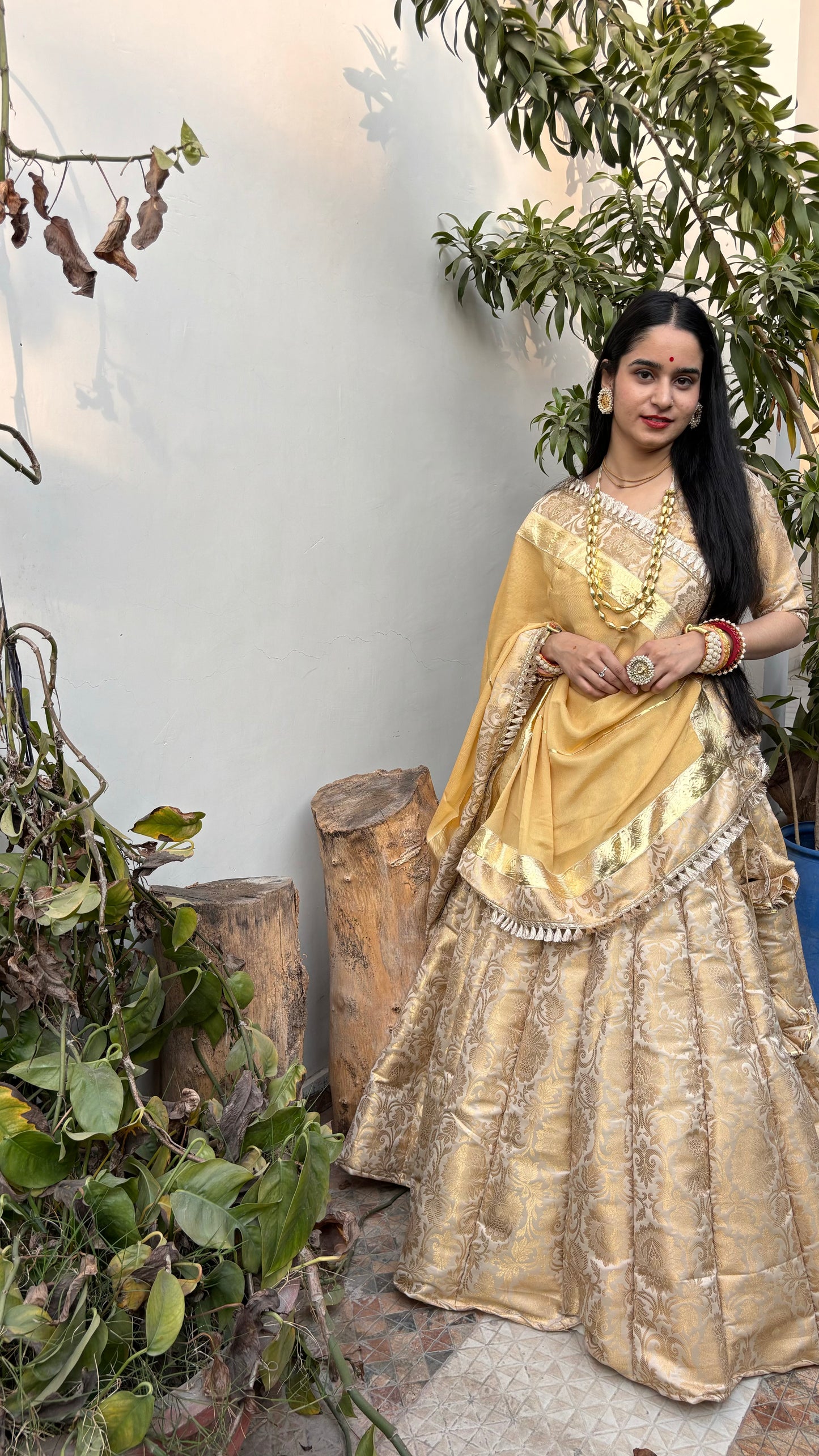 Shreeji Banarasi Lehenga