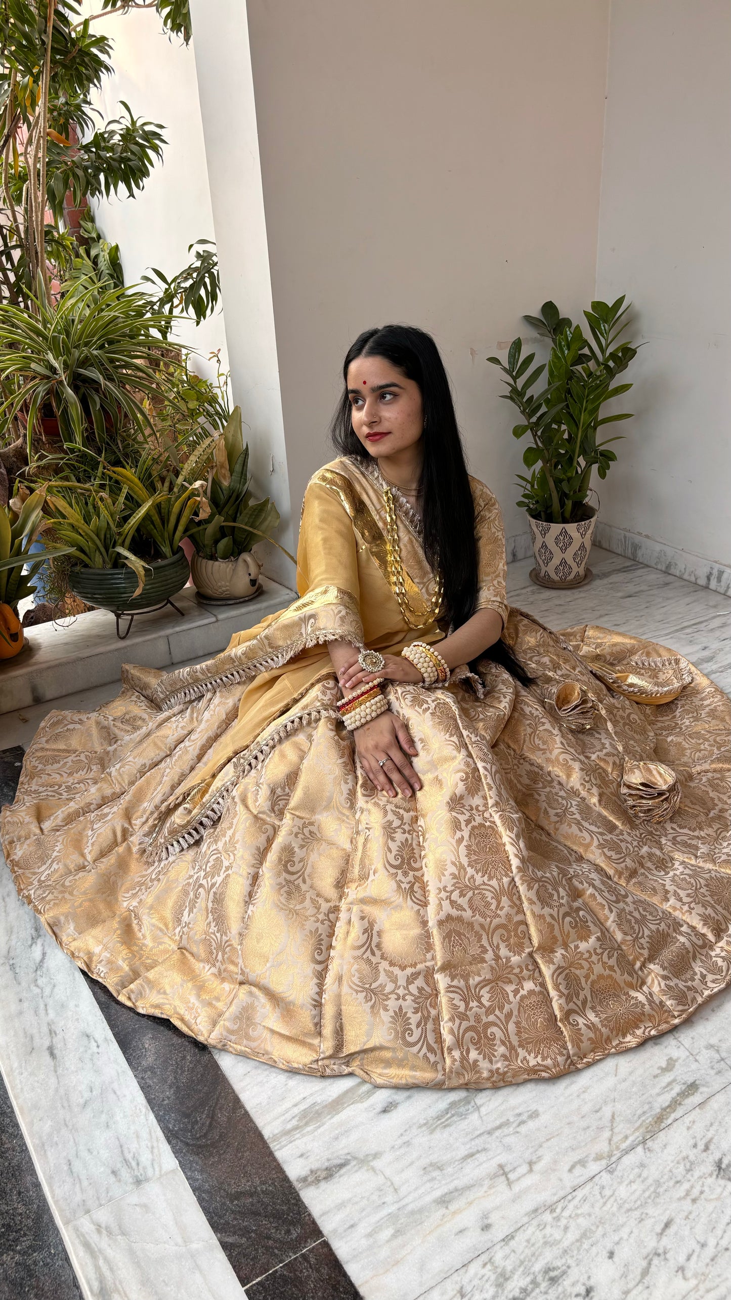 Shreeji Banarasi Lehenga