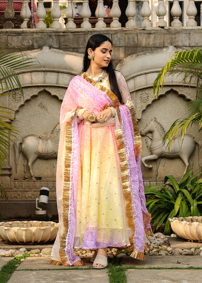 Laado Multi Anarkali Set