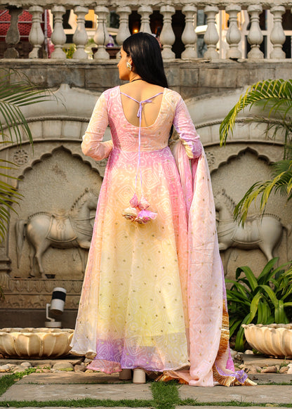 Laado Multi Anarkali Set