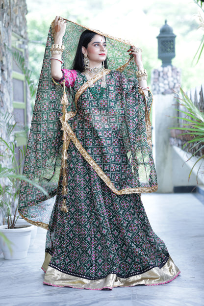 Varshini Green Patola Lehenga