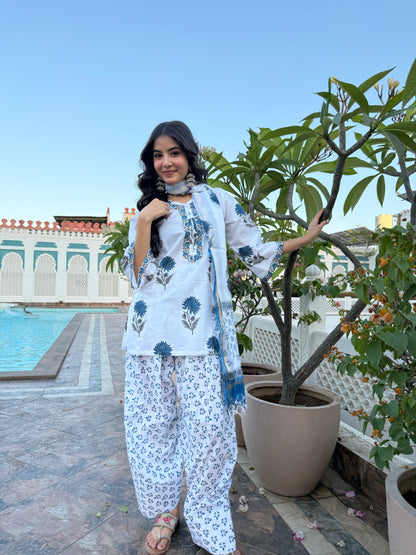 Prakriti Blue Handblock Farsi Set