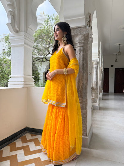 Dhiti Yellow Sharara Set