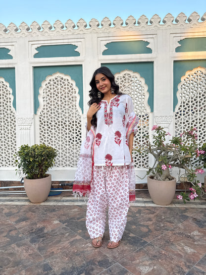 Prakriti Red Handblock Farsi Set