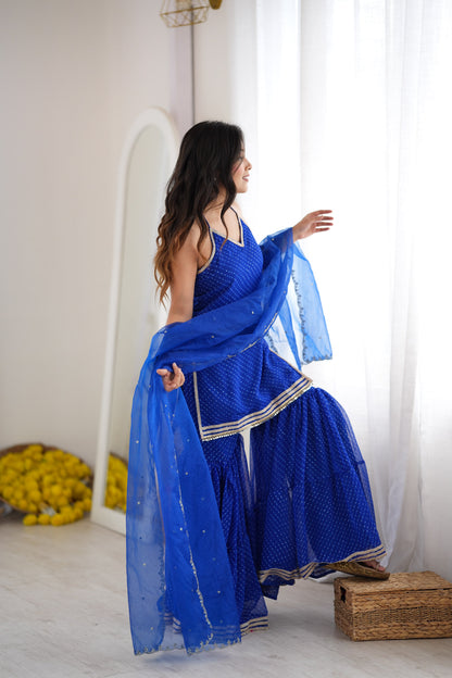 Dhiti Blue Sharara Set