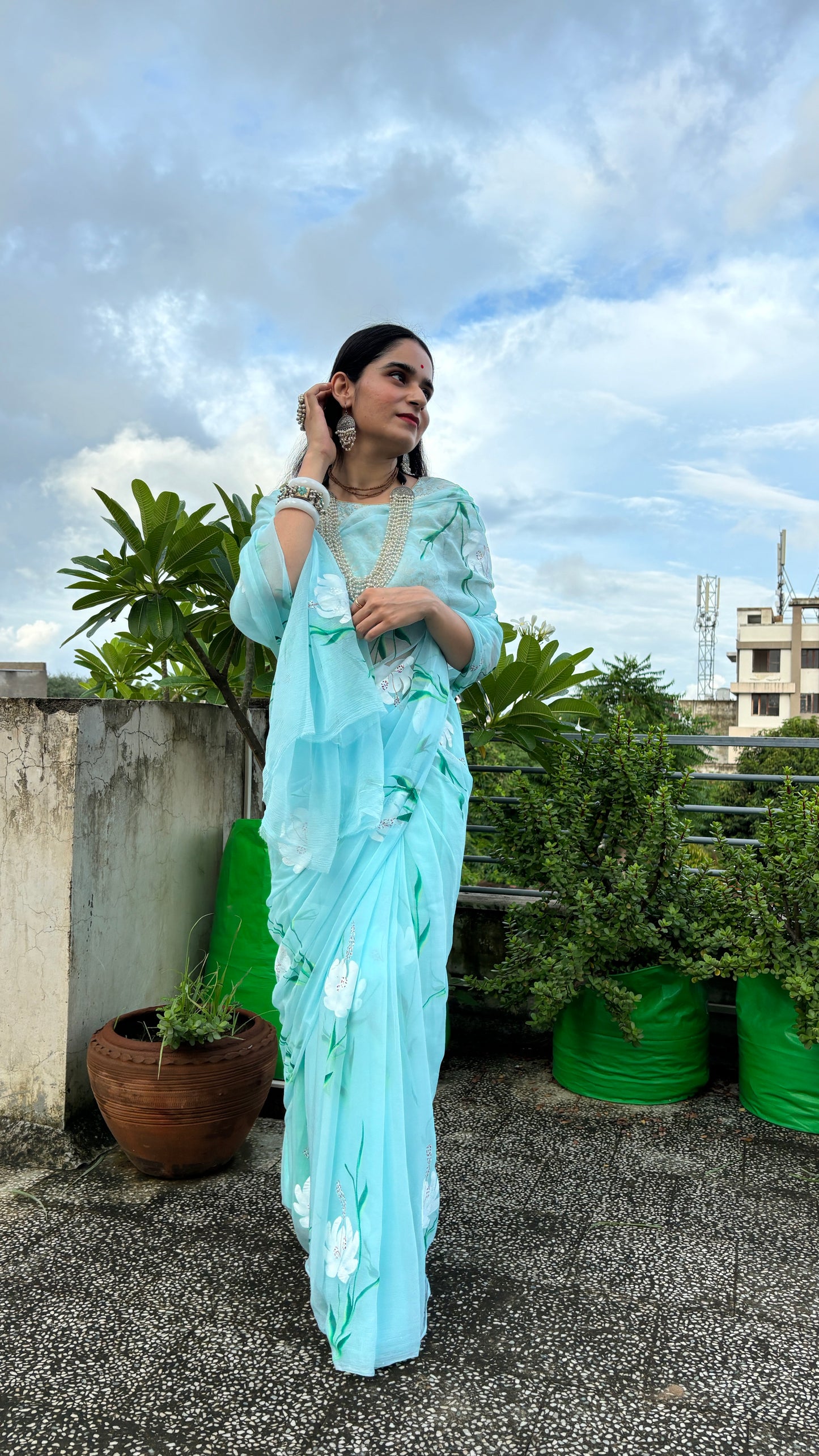 Gulmohar Sky Chiffon Saree