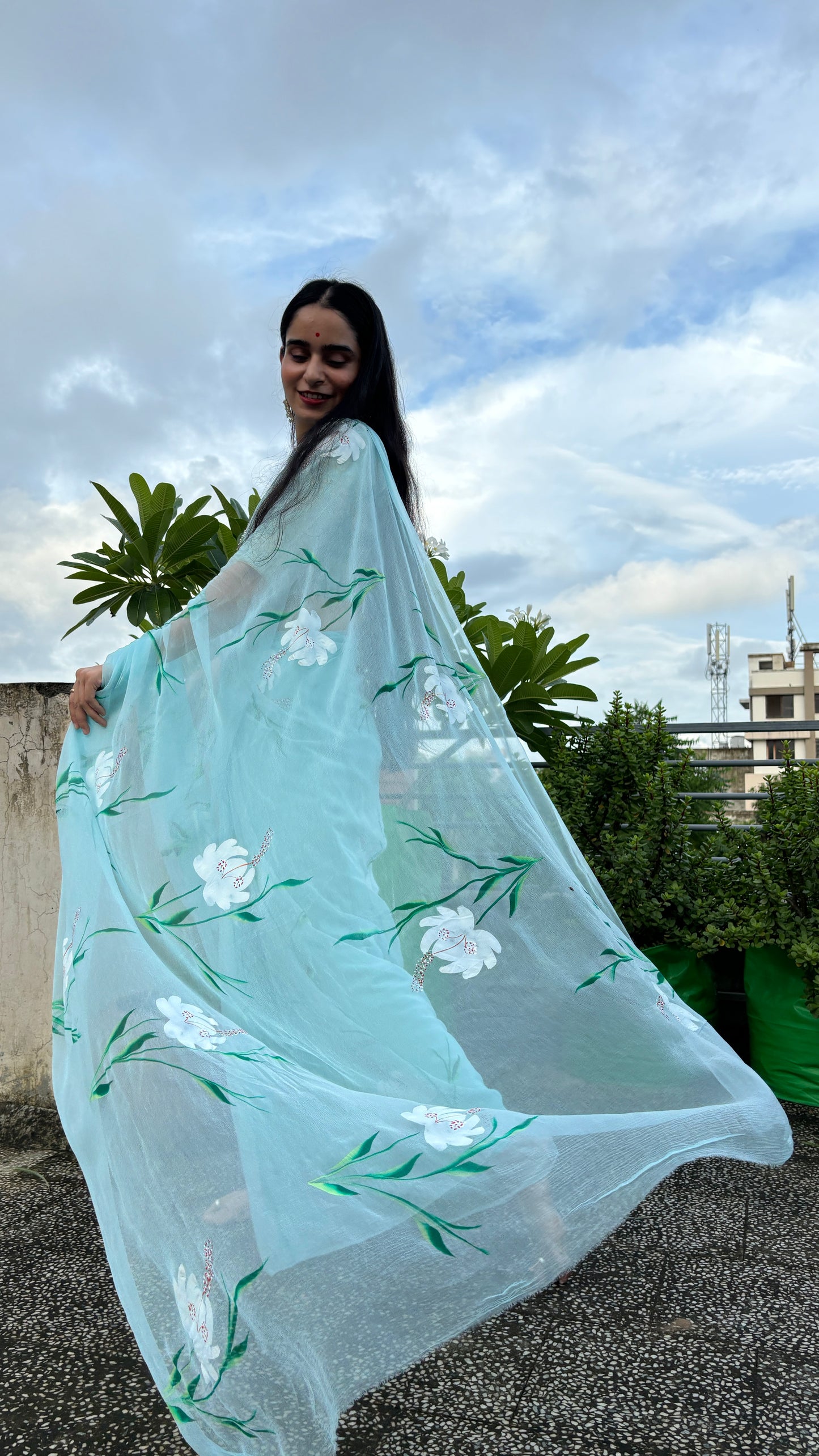 Gulmohar Sky Chiffon Saree