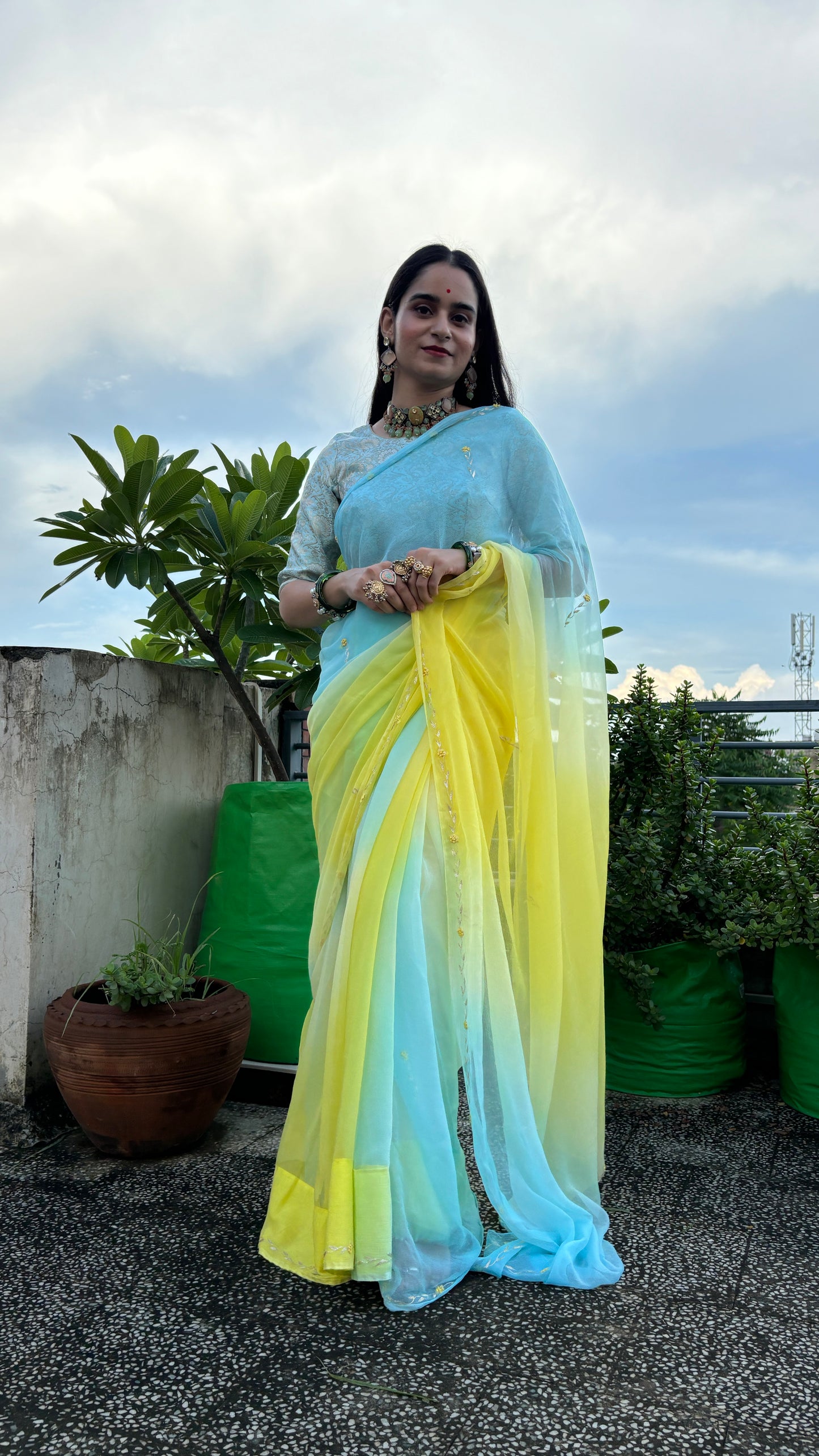 Qurbat Chiffon Saree