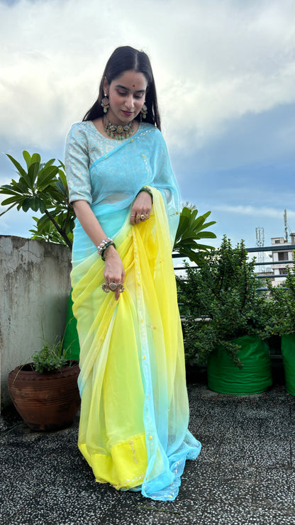 Qurbat Chiffon Saree