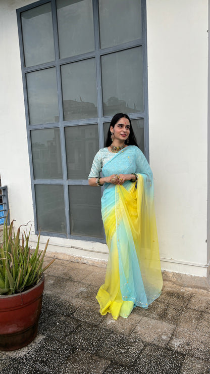 Qurbat Chiffon Saree